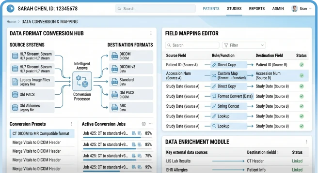 Data Conversion & Mapping 